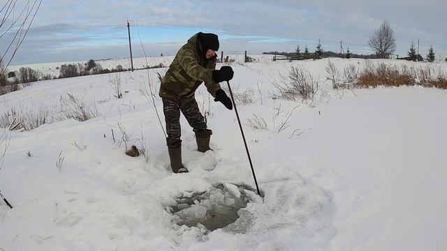 Дело труба. Ондатры натворили делов