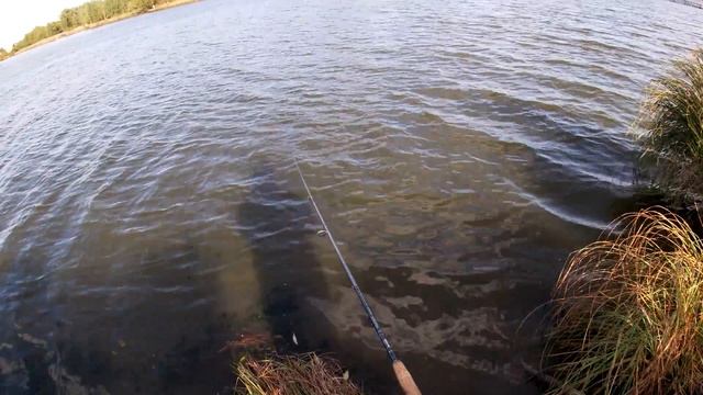 Рыбалка на спиннинг в сентябре