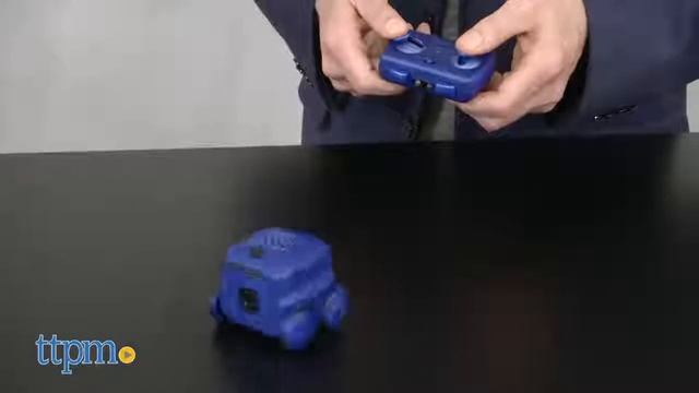 Boxer From Spin Master