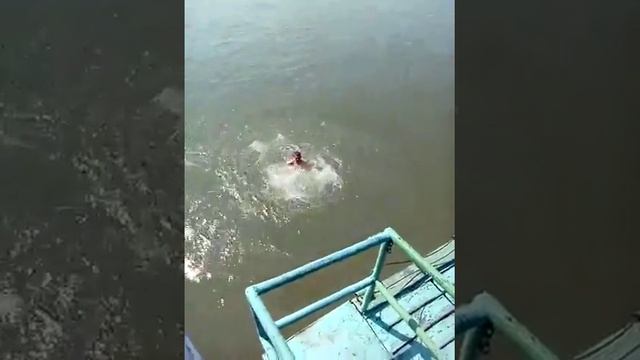 омские парни знают как отдохнуть в жару))