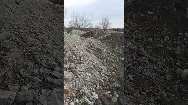 18 марта 2020 г.