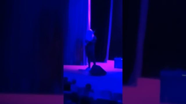 ТИУ 2017 ДЕБЮТ ПЕРВОКУРСНИКА