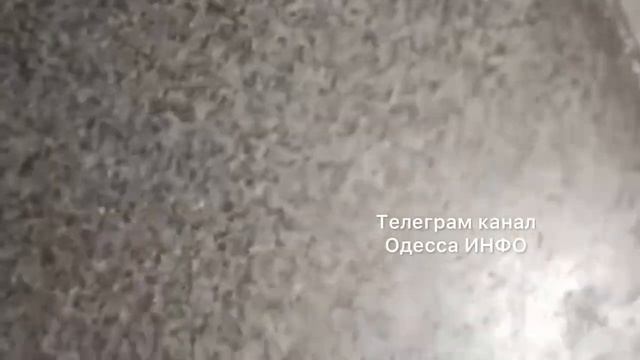 Тараканы в поезде Одесса - Харьков