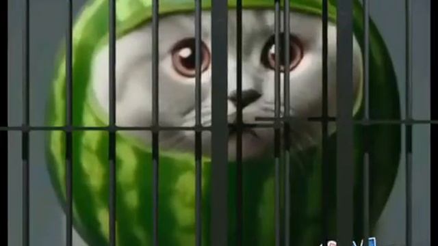 Да это не я...