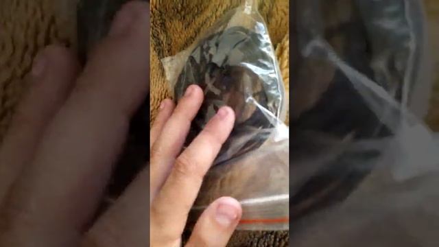 Показал рации