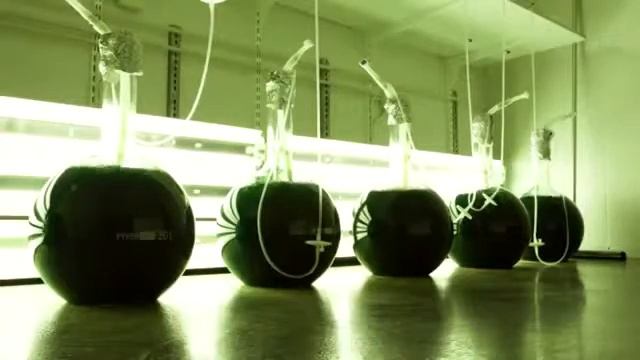 Все секреты  Wellness видео с производства в Швеции