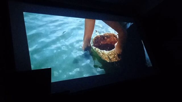 C579ebfe5ae68b8b6b5239f0fd02638c