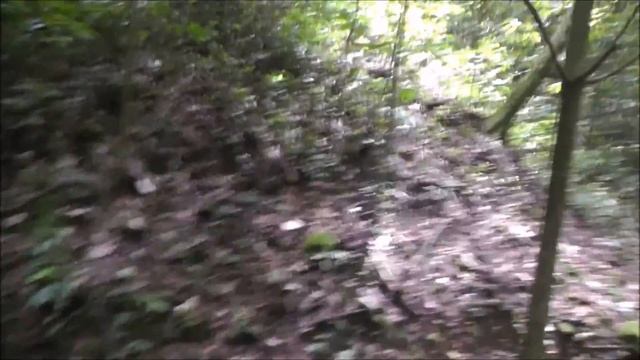 E396aba2407fc5ccbb0d5aac9c572408