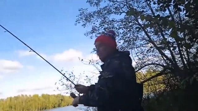 Плотва на фидер, окунь на спиннинг. 18.09.21