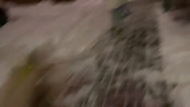 VLOG - Новый Год в Воронеже / окультуриваемся, едим 24/7