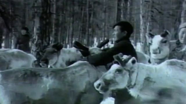 Восточная Сибирь № 25. Оленеводы Момского