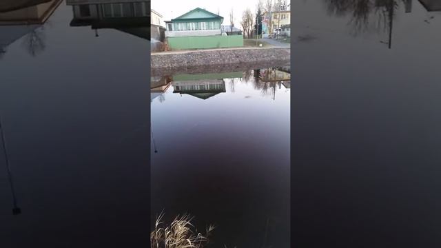 27.03.2020.Муствее.05.45.Вчера полтора ведра,сегодня пока одна поклевка.