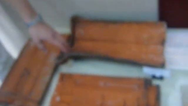 Выставка кирпичей в Бресте