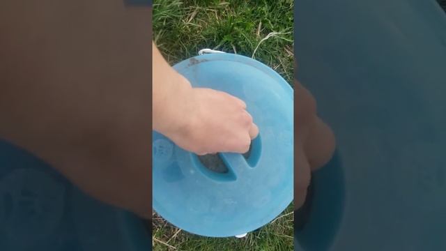 Лучшая наживка и прикорма для белочи.