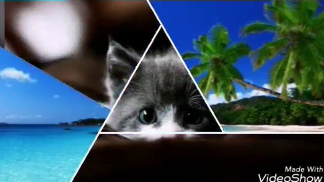 Классные фотки из вк :)