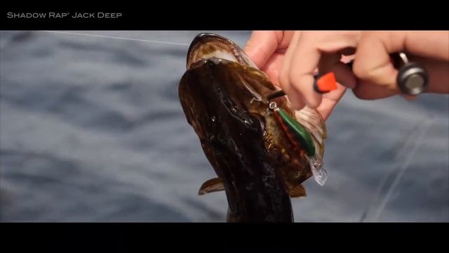 Rapala | Shadow Rap Jack Deep 5cm/6g