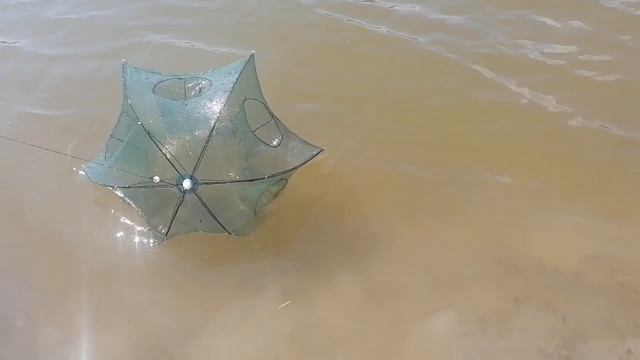 25 июля 2023 г.