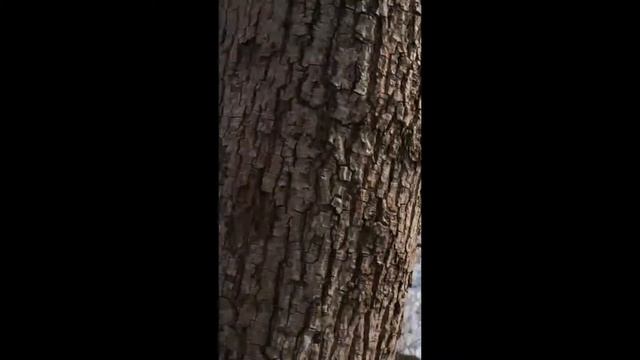 Что вы такое, граниты Выборга?! - Выборгские укрепления V.2