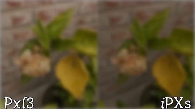 Google Pixel 3 XL Vs IPhone Xs Max Camera Test Comparison