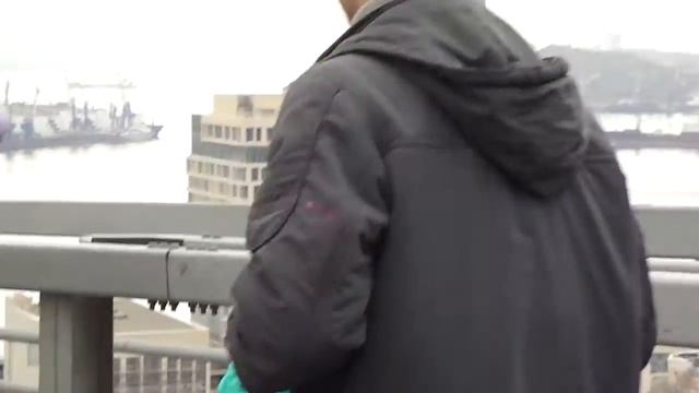 г. Владивосток Мост через бухту 
