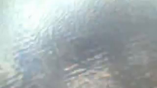 Плавунцы!.3gp