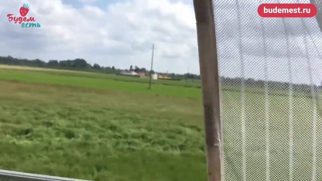 Классическая пепероната