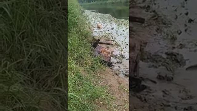 подьём остатков полевой кухни  WW2 из днепра