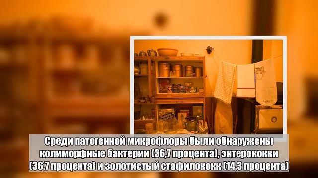 Названа главная опасность кухонных полотенец