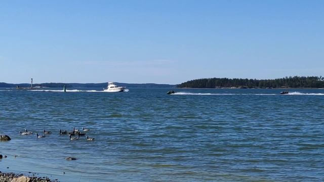 Мир вокруг меня