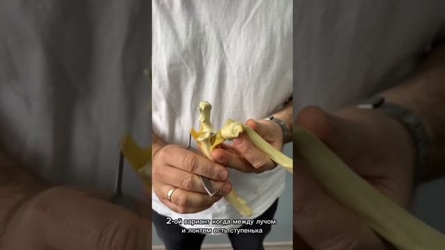 29 и 30 апреля) Подробности - Http://vetevent.ru/table2