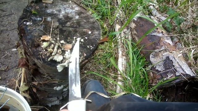 Секретный способ выжевания в лесу! Полевая кухня.