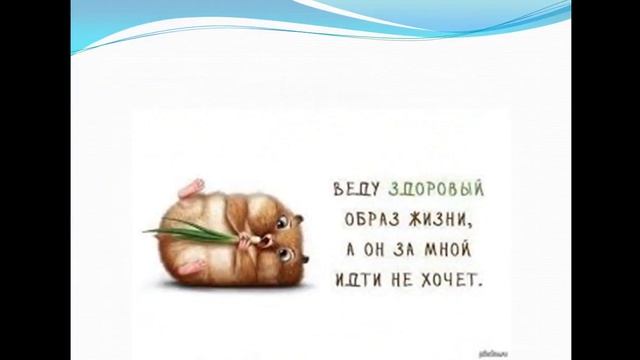 здоровое питание1