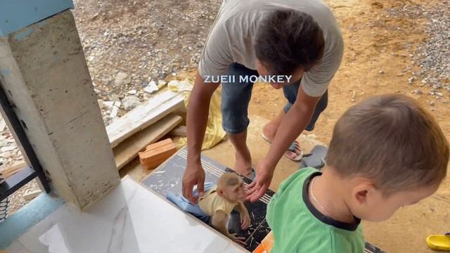 Brave Zueii Success To Chat| Zueii Shy To Reply Talk With Uncle Kidding