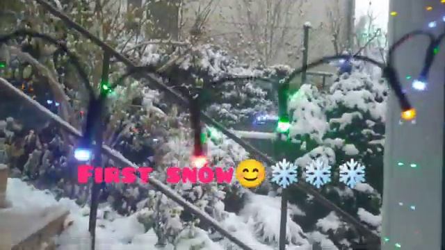 Кухня🍁❄️🍂🌊 Сад❄️в снегу, First❄️❄️ Snow. Скоро новый год.🎄🎄🎄⛄⛄⛄😊🐾🐾🤪