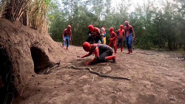 Full Video | Dramatic Battle Between Spider-Man And Brave Hunter Fighting The Monster KingKong
