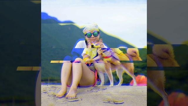 Fun Backdrops For Brave Doggy