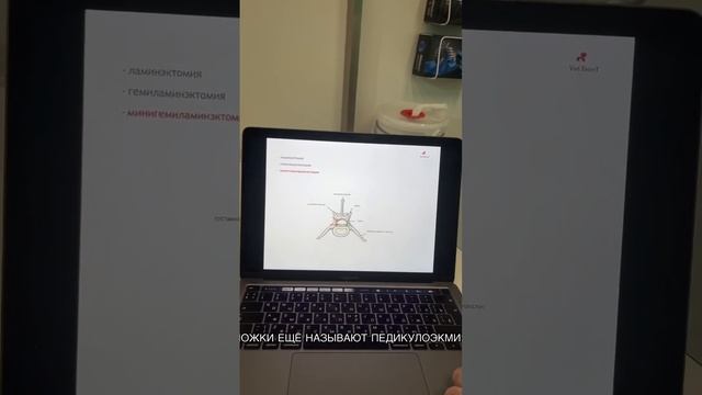 Коллеги, нейрохирургия 22-23 апреля⚕️⚕️подробности - Http://vetevent.ru/neuro2