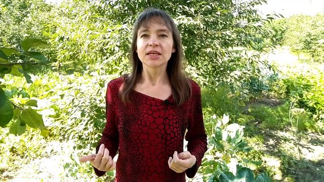 Почему восстановление здоровья нужно начинать с реабилитации желудочно-кишечного тракта