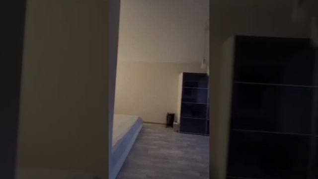 Уютная 1шка не Невском 119🔥😍❤️