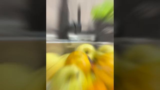 Смеситель для кухни с гибким изливом из нержавеющей стали Hansen HN56032-СС