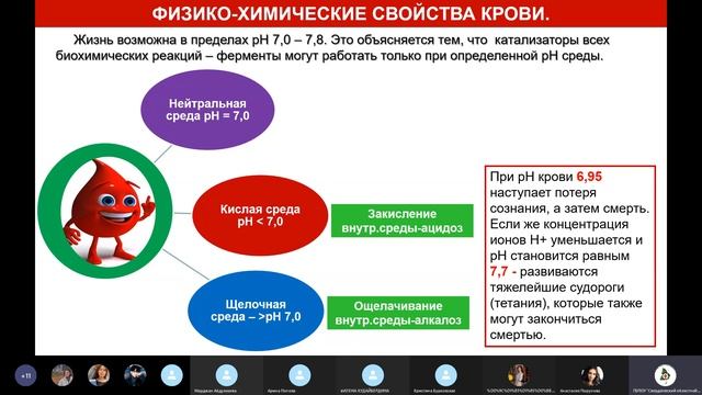Лекция Внутренняя среда организма