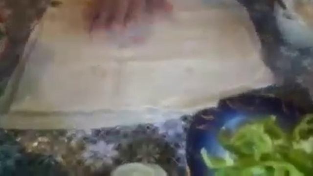 ШАУРМА ДОМАШНЯЯ 🤤🤤🤤