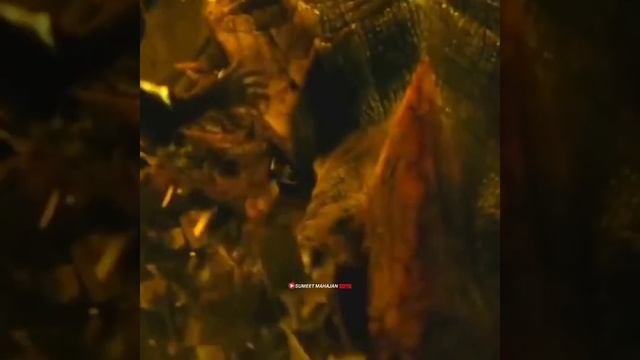 #Girlattitudestatus 💯 #moodoffstatus 🔥 Brave Girl Defeated Dragon | SUMEET MAHAJAN |