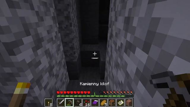 Gram W (Minecraft) #1