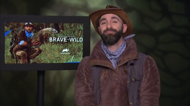 Coyote Peterson: Brave the Wild