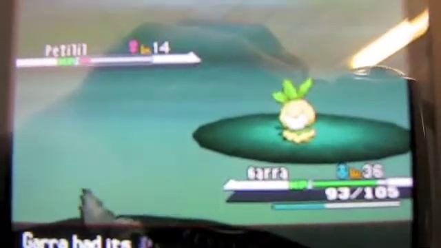 3rd BQ Shiny: Petilil In Pokemon White #1 After 11,950 RE's