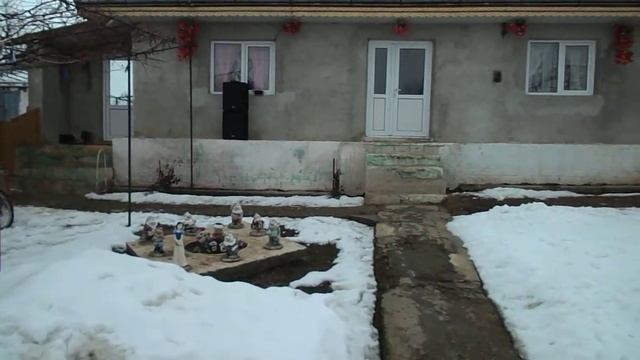 Boxe DB Technologies 12