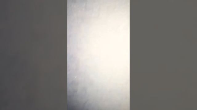 Вечер по алфавиту