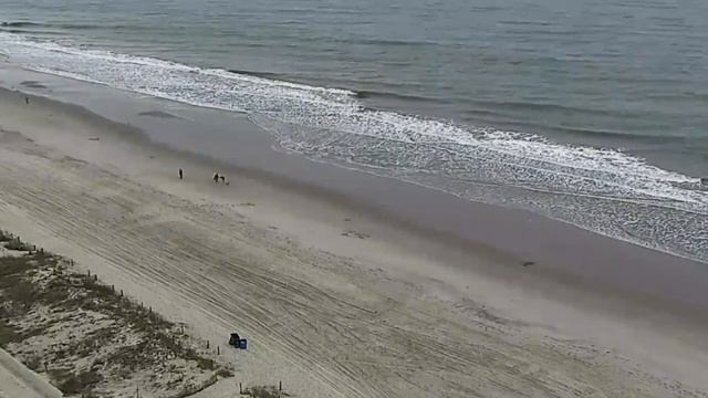 Витаминизация энергии