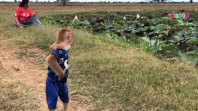 Brave Jason Amazed Negotiate To Make Friend With Buffalo Herd